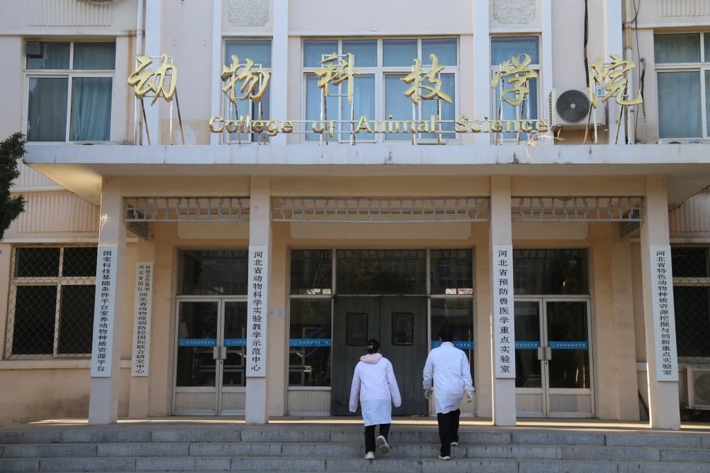 欢迎报考365best体育亚洲官网官方认证平台